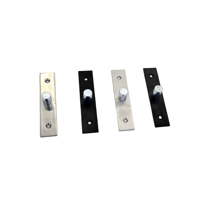 BHS Surface Mounted Top Free Swinging Pivot