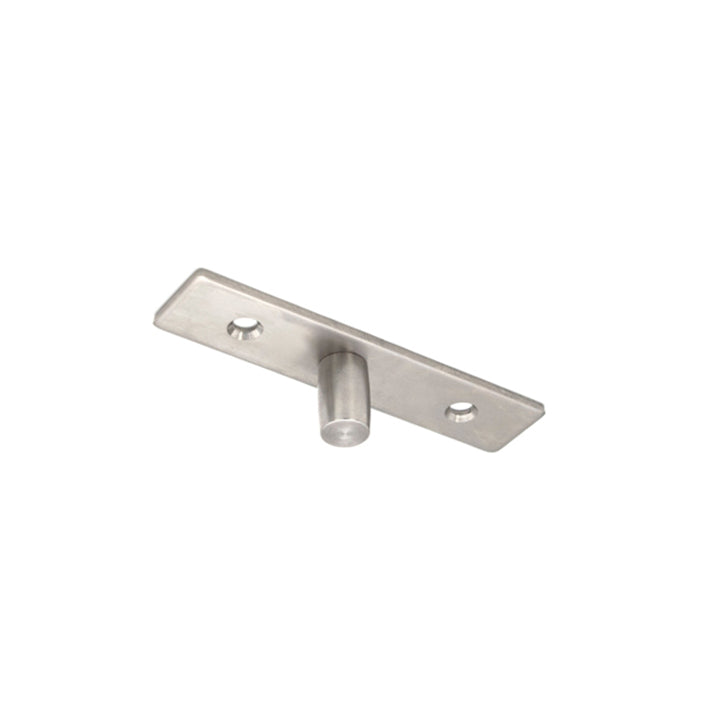 BHS Surface Mounted Top Free Swinging Pivot