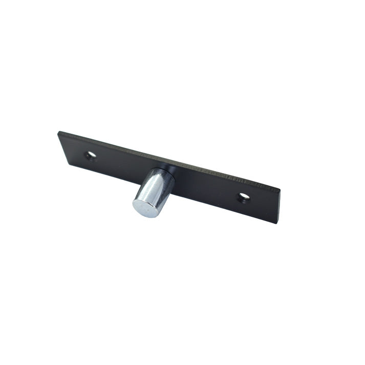 BHS Surface Mounted Top Free Swinging Pivot