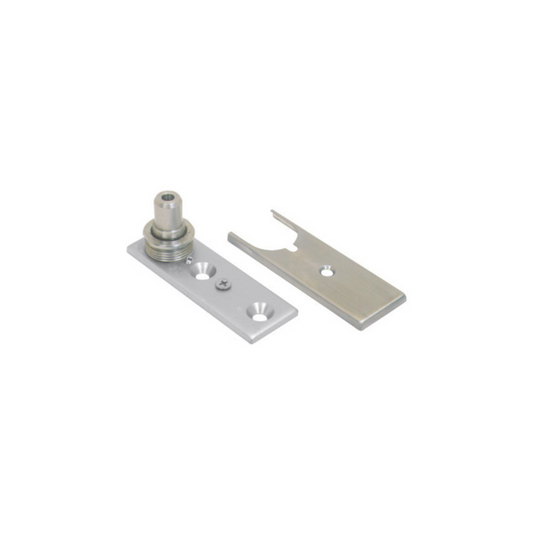 BHS Canada Adjustable Bottom Free Swinging Pivot