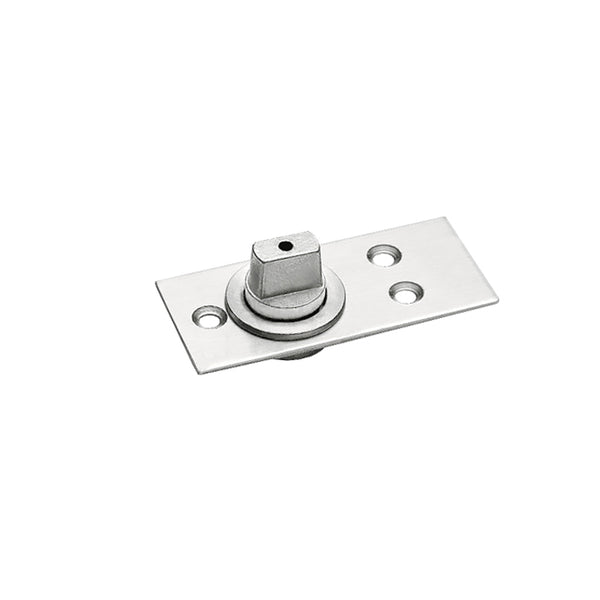 Vertical Spring Pivot BHS Canada Floor Mounted Bottom Free Swinging Pivot