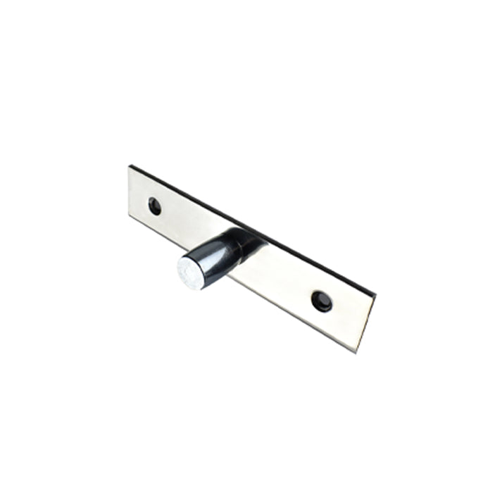 BHS Surface Mounted Top Free Swinging Pivot